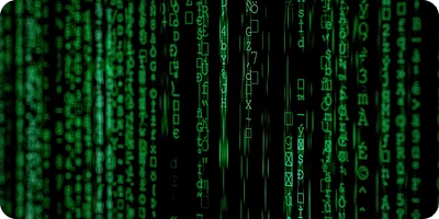 Chuyển đổi số (DX)